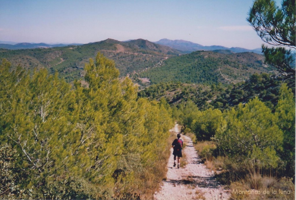 Bajando de la cima del Reconc, 1.206 mts., delante las cimas de Cenarosa en el centro y Alt de La Creu a su izquierda, al fondo centro El Montcabrer en Sierra Mariola